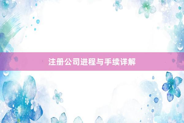 注册公司进程与手续详解